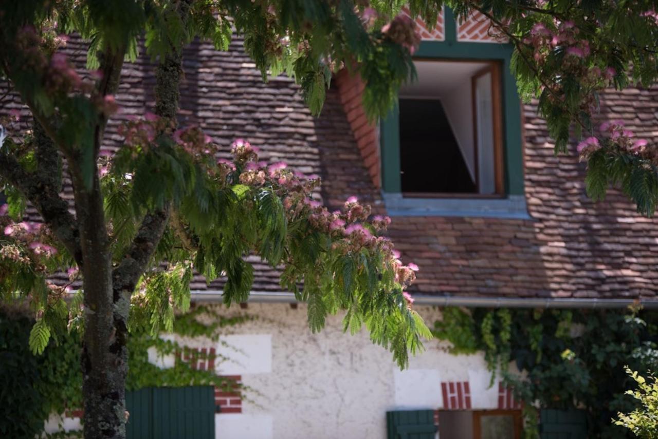 Bed and Breakfast La Demalerie Шеверні Екстер'єр фото