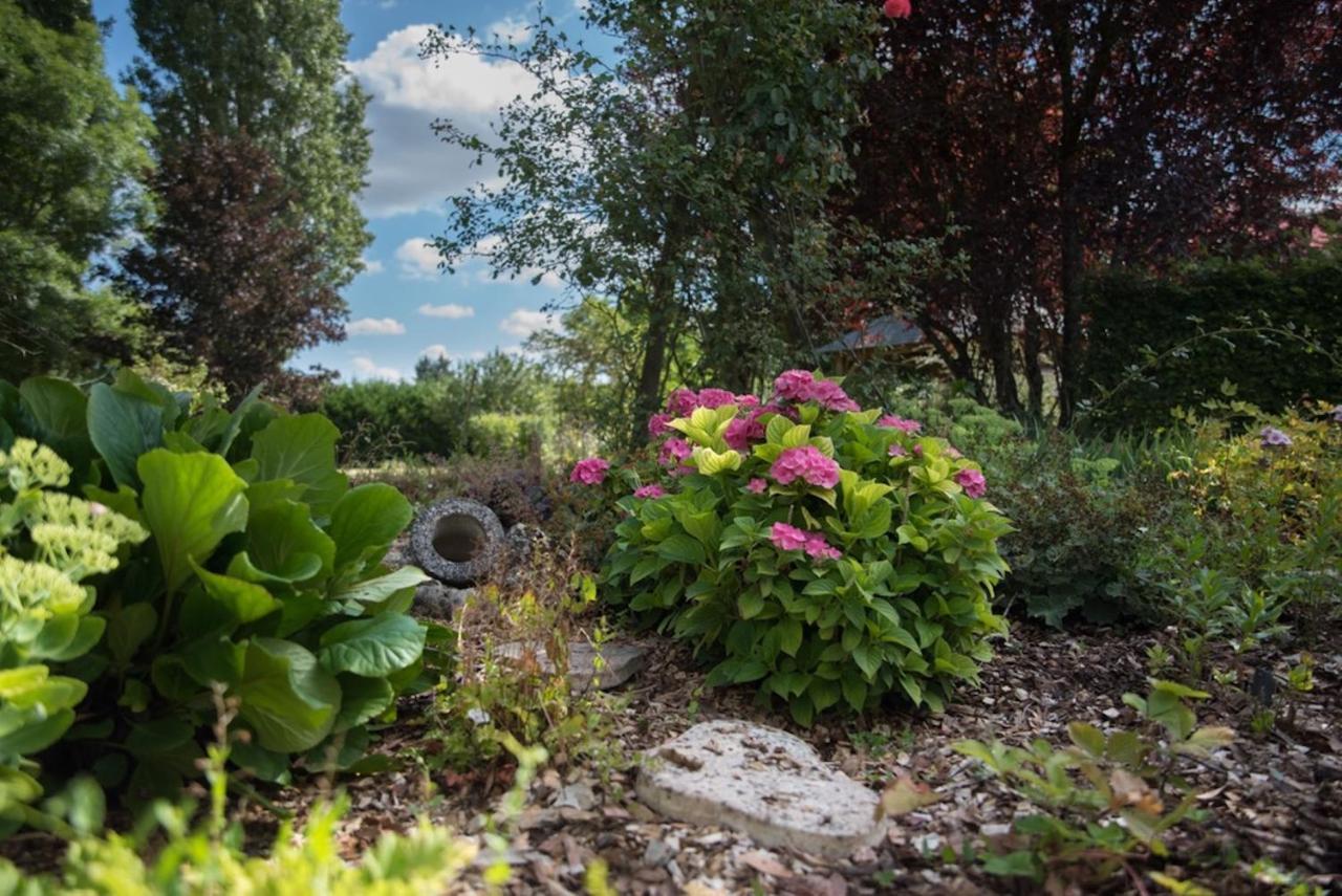 Bed and Breakfast La Demalerie Шеверні Екстер'єр фото
